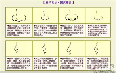 鼻孔 面相